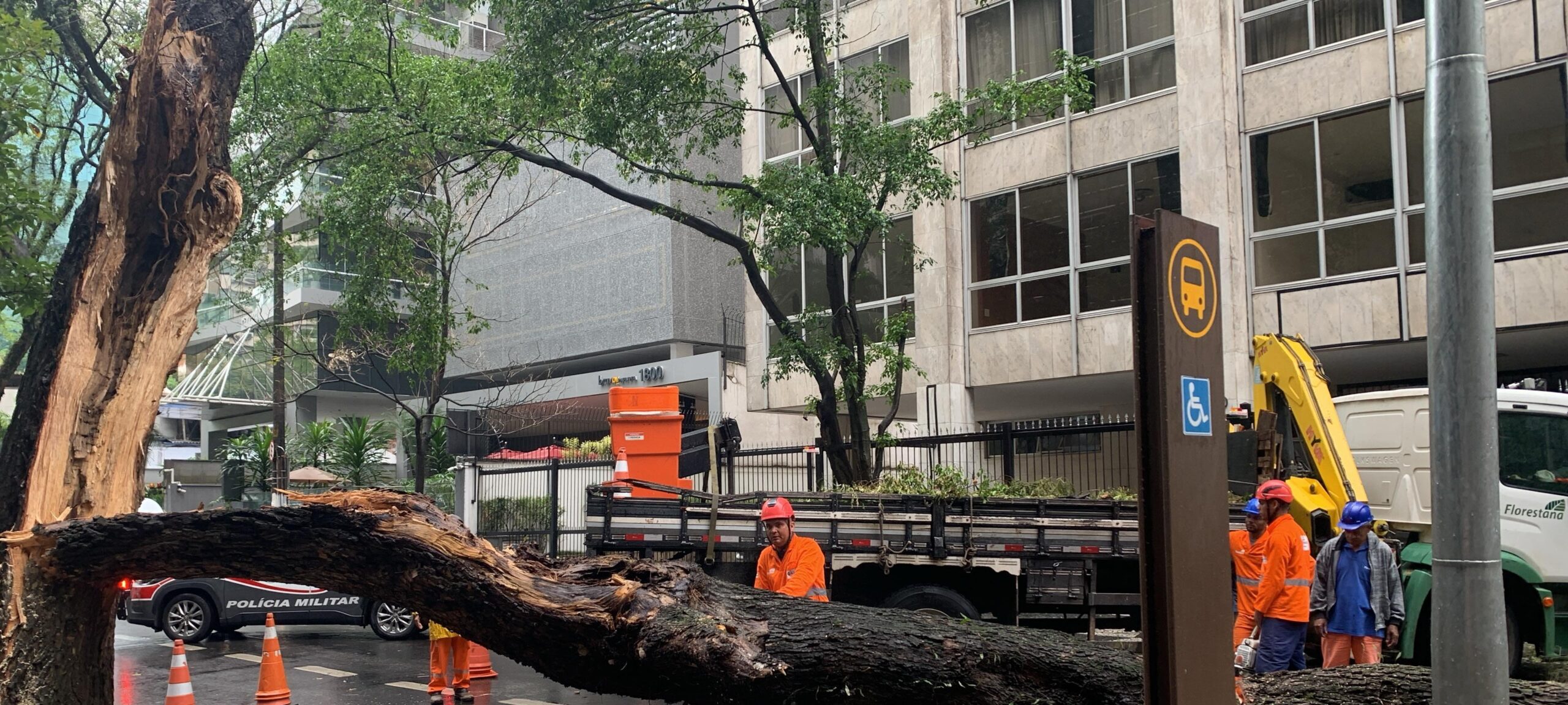 Ventania de quase 100 km/h provoca destelhamentos, quedas de árvores e apagão na Grande São Paulo - Imagem do artigo