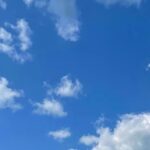 Publicações sobre waffles reacendem debate sobre moderação no Bluesky