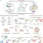 Vacina de mRNA contra câncer exibe sinal luminoso que indica eficácia em poucas horas