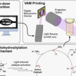 Impressão volumétrica cria dispositivos microfluídicos de silicone em poucos minutos Impressão volumétrica cria dispositivos microfluídicos de silicone em poucos minutos