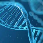 Nephrogen aposta em IA e edição genética para combater doença renal e mira ensaios clínicos em 2027 Nephrogen aposta em IA e edição genética para combater doença renal e mira ensaios clínicos em 2027