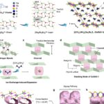 Novo material sulfetado em camadas acelera retirada de terras raras de efluentes radioativos Novo material sulfetado em camadas acelera retirada de terras raras de efluentes radioativos