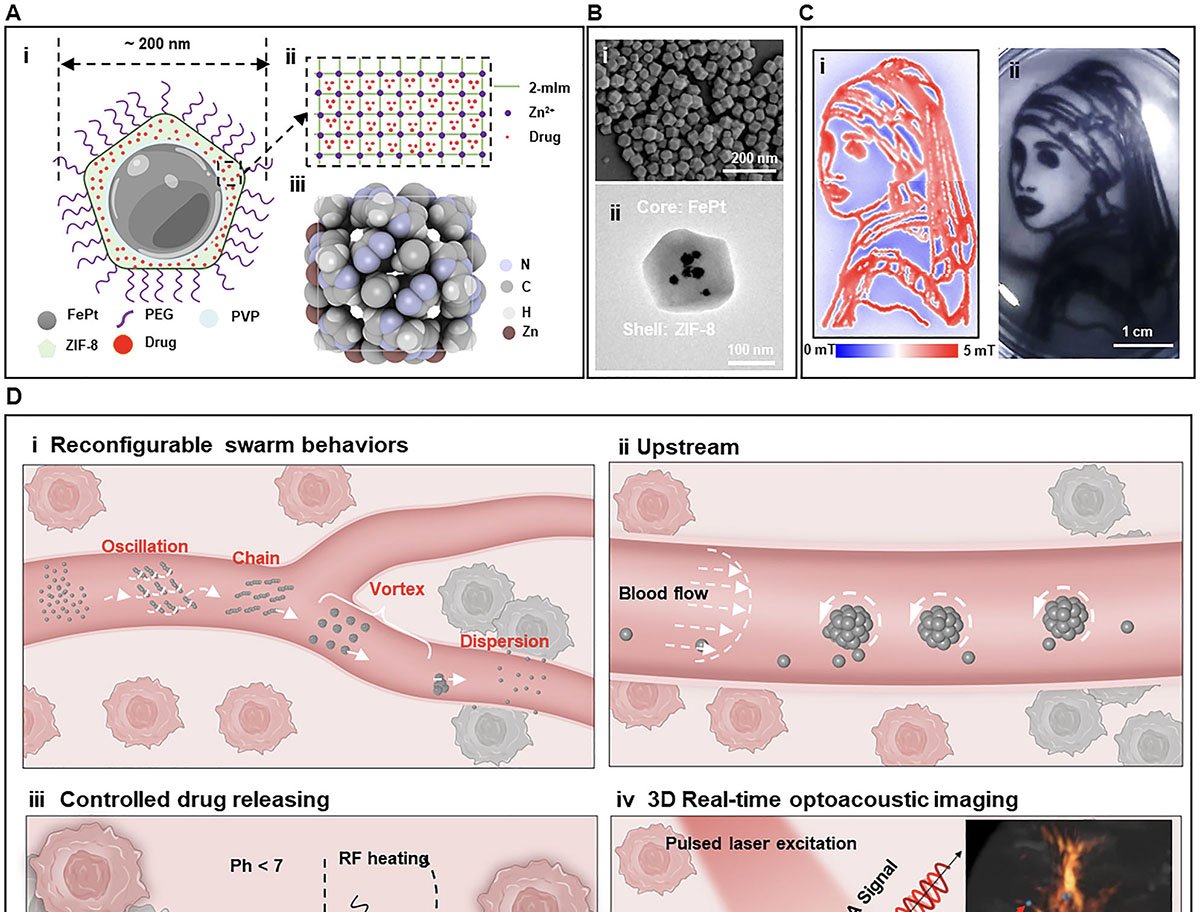 Microrrobôs magnéticos levam remédios a pontos exatos dentro do corpo - Imagem do artigo