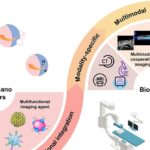 Nanomotores inteligentes ampliam resolução e alcance de exames de imagem biomédica Nanomotores inteligentes ampliam resolução e alcance de exames de imagem biomédica