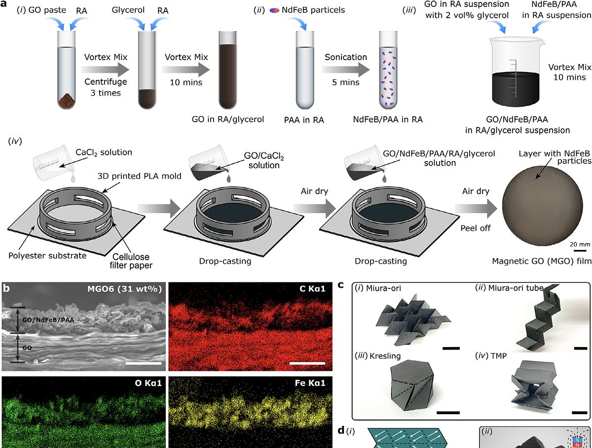 Folha de óxido de grafeno se transforma em robôs e origamis em minutos - Imagem do artigo