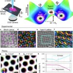 Campos magnéticos fracos invertem quiralidade e organizam skyrmions em cristal 2D
