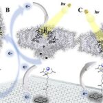 Imagens em escala atômica mostram como biomoléculas captam luz em grafeno