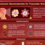 Nanomateriais inteligentes prometem diagnóstico e tratamento simultâneo de lesões cerebrais traumáticas Nanomateriais inteligentes prometem diagnóstico e tratamento simultâneo de lesões cerebrais traumáticas