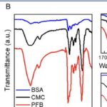 Mistura de proteína “batida” cria canais estáveis e eleva desempenho de baterias de lítio-enxofre