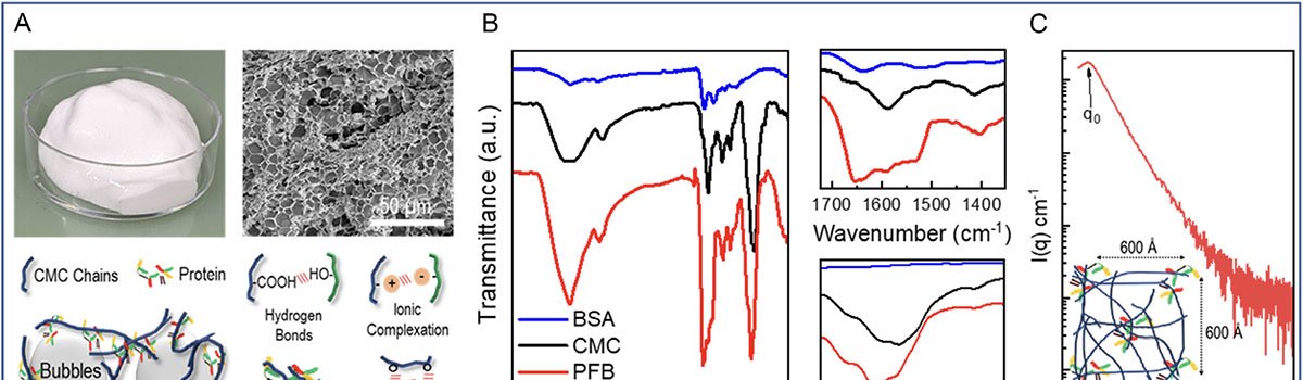 Mistura de proteína “batida” cria canais estáveis e eleva desempenho de baterias de lítio-enxofre - Imagem do artigo