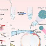 Colírio com nanopartículas mutáveis leva proteína terapêutica à retina e dispensa injeções oculares