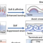 Laser programado aumenta rigidez local de tecidos e permite eletrônicos vestíveis mais flexíveis