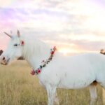 Cinco startups da Europa ultrapassam valuation de US$ 1 bilhão em janeiro de 2026 Cinco startups da Europa ultrapassam valuation de US$ 1 bilhão em janeiro de 2026