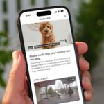 Ring expande função “Search Party” e permite busca por cães perdidos mesmo sem câmera própria