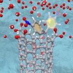 Nanotubos de carbono sensíveis ao pH atuam como portas que regulam passagem de água e íons