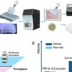 Estruturas em forma de asa de avião agilizam produção de nanopartículas para terapias de RNA Estruturas em forma de asa de avião agilizam produção de nanopartículas para terapias de RNA