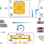 Aprimoradas por IA, microteias de ouro ficam cinco vezes mais flexíveis que versões inspiradas em aranhas
