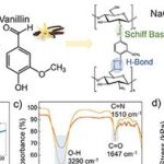 Eletrônica comestível usa calor de alimentos para acender visor que muda de cor e indica temperatura segura Eletrônica comestível usa calor de alimentos para acender visor que muda de cor e indica temperatura segura