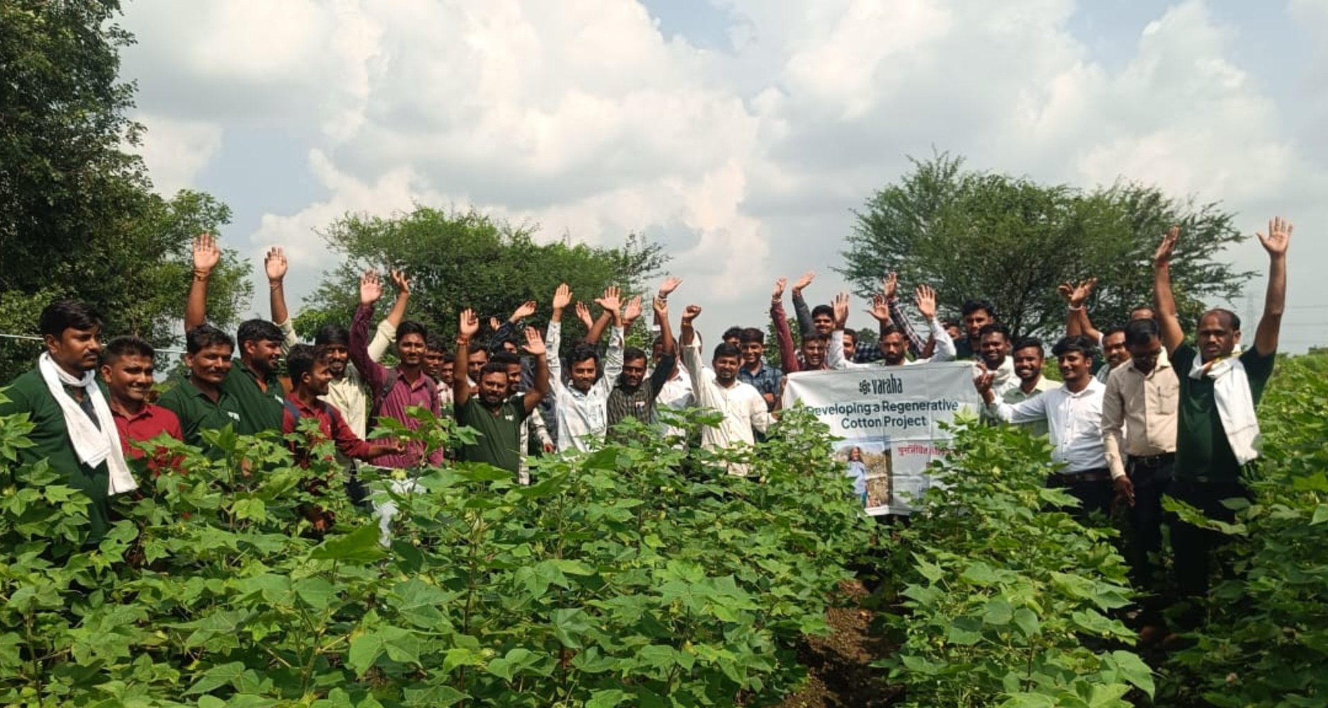 Startup indiana Varaha capta US$ 20 milhões para ampliar remoção de carbono no Sul Global - Imagem do artigo original