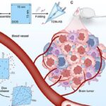Nanopirâmides de DNA atravessam barreira hematoencefálica e levam quimioterapia diretamente a tumores cerebrais