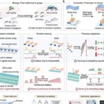 Pele eletrônica flexível usa camadas de nanotubos de carbono para detectar toque e realizar processamento interno