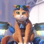 Jennifer Hale será a voz de Jetpack Cat, novo herói de Overwatch