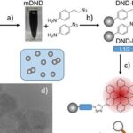 Nanodiamantes modificados usam luz visível para gerar elétrons solvatados e reduzir CO₂