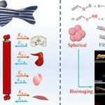 Nova técnica de fluorescência promete rastrear microplásticos em tempo real dentro de organismos vivos Nova técnica de fluorescência promete rastrear microplásticos em tempo real dentro de organismos vivos