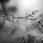 Físicos austríacos esclarecem alta eficiência das perovskitas na captação de energia solar