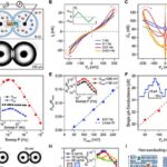 Gotas de água unidas por canais iônicos se comportam como sinapses e aprendem a executar cálculos
