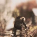 Bigfoot estreia oficialmente em Fallout 76 na Temporada 24