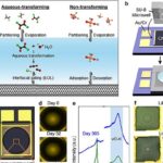 Sais higroscópicos substituem receptores complexos em sensor de nanotubos de carbono