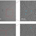 Plástico elástico conduz eletricidade graças a fibras nanométricas formadas por sais Plástico elástico conduz eletricidade graças a fibras nanométricas formadas por sais