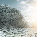 Mais startups alcançam US$ 10 milhões em receita recorrente anual em apenas três meses, aponta Stripe