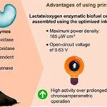 Tinta enzimática imprimível impulsiona produção em massa de biossensores vestíveis autossuficientes