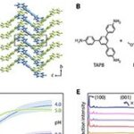 Polímeros cristalinos formados dentro de lisossomos induzem morte de células cancerosas e estimulam o sistema imune em camundongos
