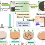 Gotículas de metal líquido formam circuitos elásticos sozinhas em temperatura ambiente Gotículas de metal líquido formam circuitos elásticos sozinhas em temperatura ambiente