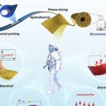 Fibras de grafeno inspiradas em pelo de urso-polar unem isolamento recorde e alta condução elétrica para vestíveis inteligentes