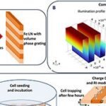 Luz reconfigura superfície cristalina e controla movimento de células vivas