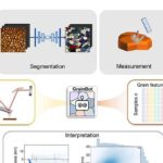 Ferramenta de IA converte imagens de microscopia em dados quantitativos de microestrutura