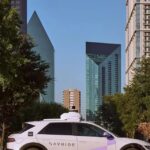 Carro autônomo atropela pata em Austin e revolta moradores Carro autônomo atropela pata em Austin e revolta moradores