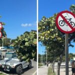 Vitória coloca 143 novas placas de trânsito na Orla de Camburi e no bairro Mata da Praia