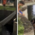 Pessoas são vistas pescando com rede no lago do Parque Moscoso, em Vitória