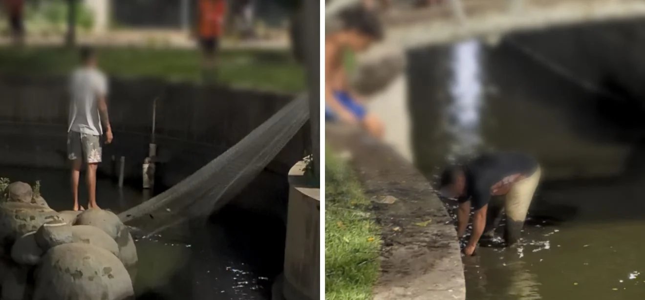 Pessoas são vistas pescando com rede no lago do Parque Moscoso, em Vitória - Imagem do artigo