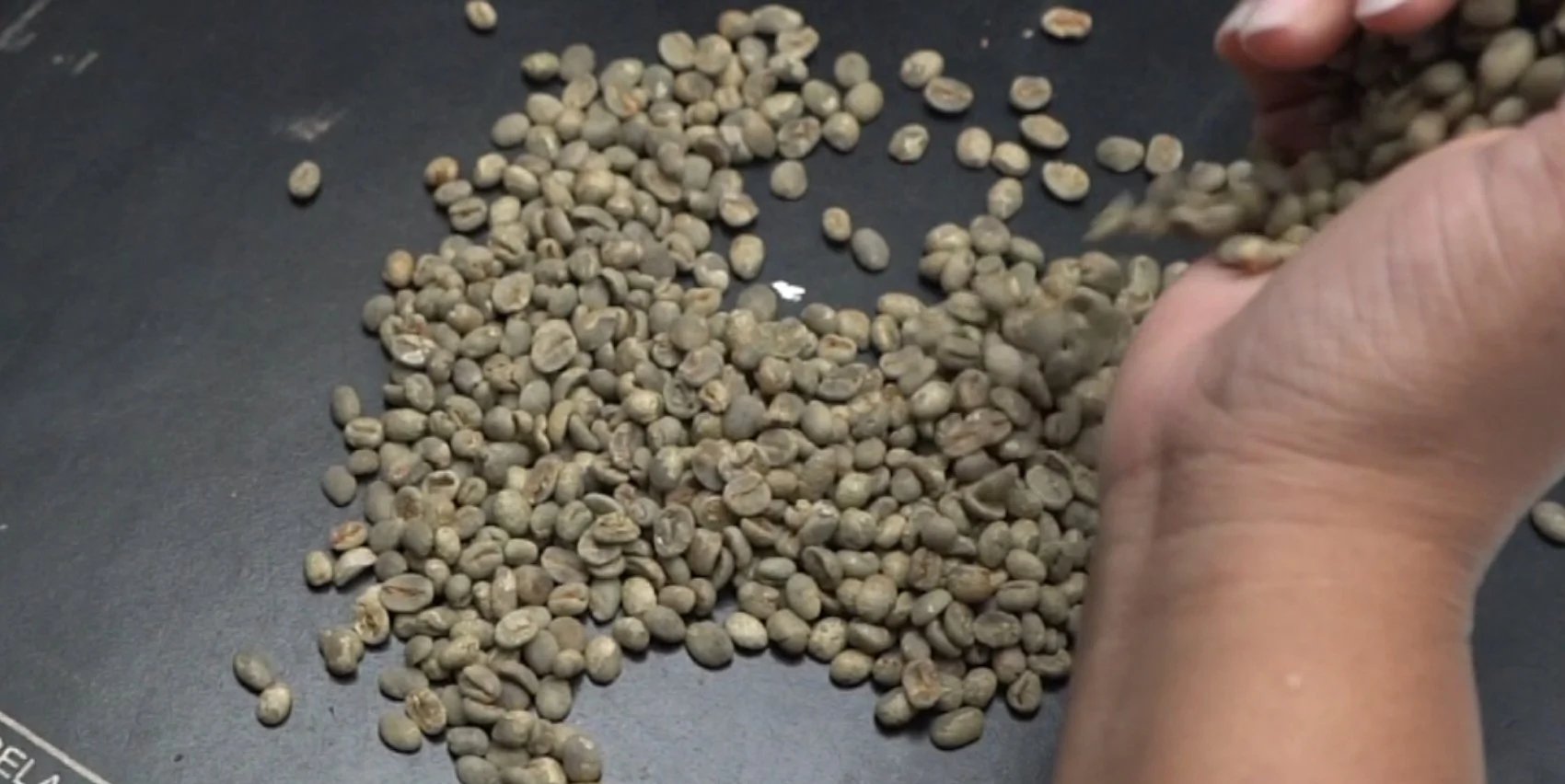 Nova classificação brasileira do café muda contagem de defeitos e impacta preço pago ao produtor - Imagem do artigo