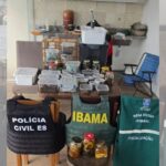 Operação resgata mais de 70 animais silvestres mantidos irregularmente em casa de Vila Velha