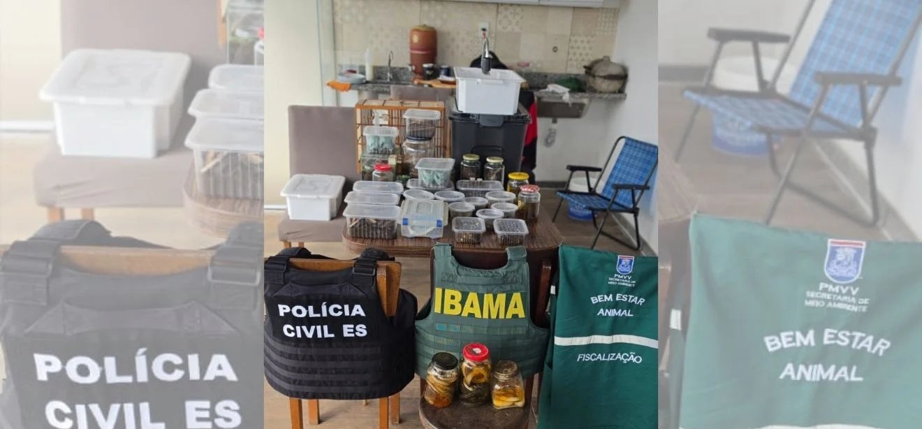 Operação resgata mais de 70 animais silvestres mantidos irregularmente em casa de Vila Velha - Imagem do artigo
