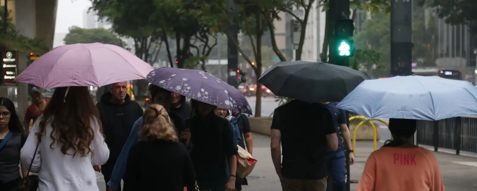 Temporais devem atingir regiões Sul e Sudeste durante o fim de semana - Imagem do artigo