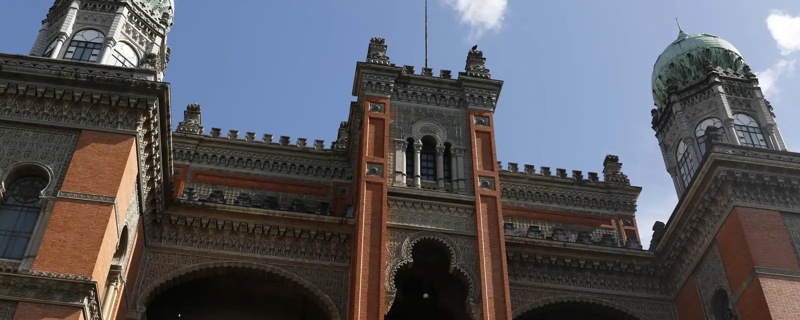 Fiocruz cria centro com foco em tratamento avançado contra câncer - Imagem do artigo