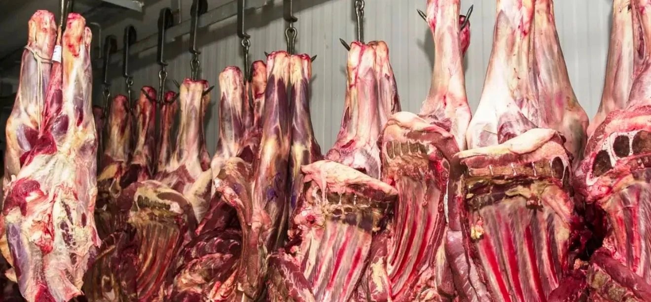 Espírito Santo deve sentir pouco impacto imediato após embargo europeu à carne brasileira, dizem especialistas - Imagem do artigo